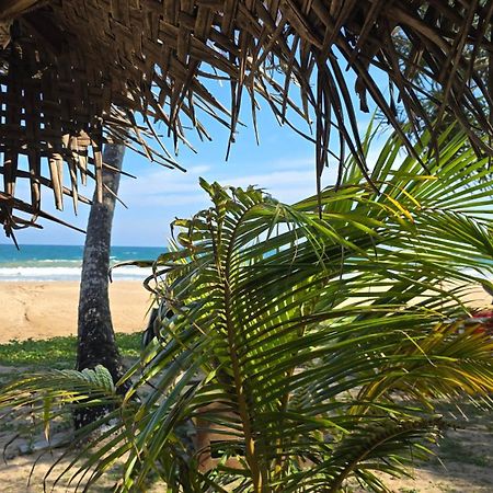 Talalla Beach Bungalows Exterior photo
